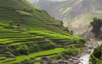 Agence de voyage francophone au Vietnam, Voyage au Vietnam