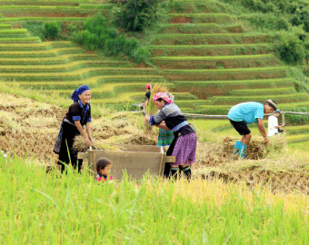 Agence de voyage francophone au Vietnam, Voyage au Vietnam