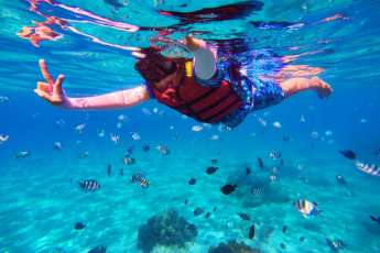 Agence de voyage francophone au Vietnam, Voyage au Vietnam