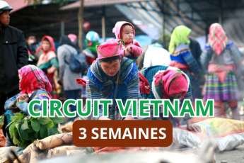 Agence de voyage francophone au Vietnam, Voyage au Vietnam