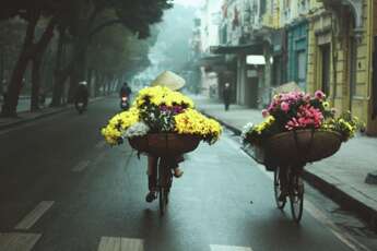Agence de voyage francophone au Vietnam, Voyage au Vietnam