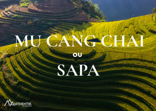 Agence de voyage francophone au Vietnam, Voyage au Vietnam