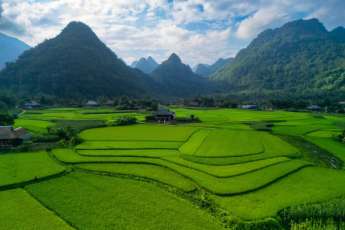 Agence de voyage francophone au Vietnam, Voyage au Vietnam