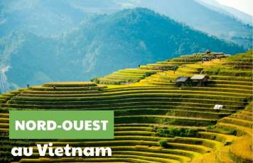 Agence de voyage francophone au Vietnam, Voyage au Vietnam