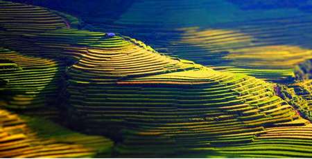 Agence de voyage francophone au Vietnam, Voyage au Vietnam