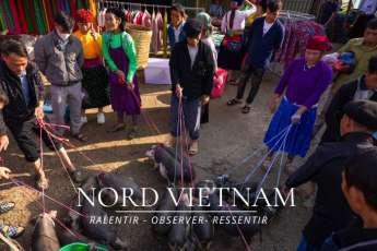 Agence de voyage francophone au Vietnam, Voyage au Vietnam