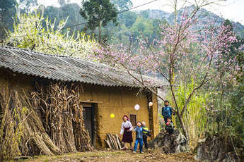 Agence de voyage francophone au Vietnam, Voyage au Vietnam
