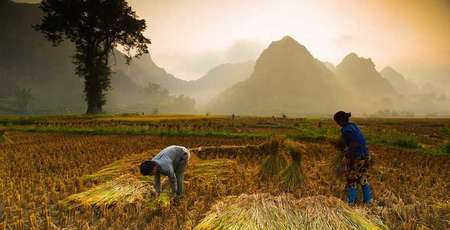 Agence de voyage francophone au Vietnam, Voyage au Vietnam