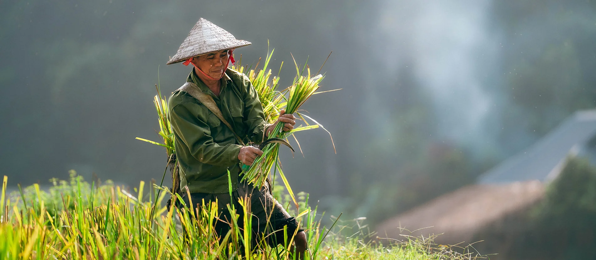 Agence de voyage francophone au Vietnam, Voyage au Vietnam