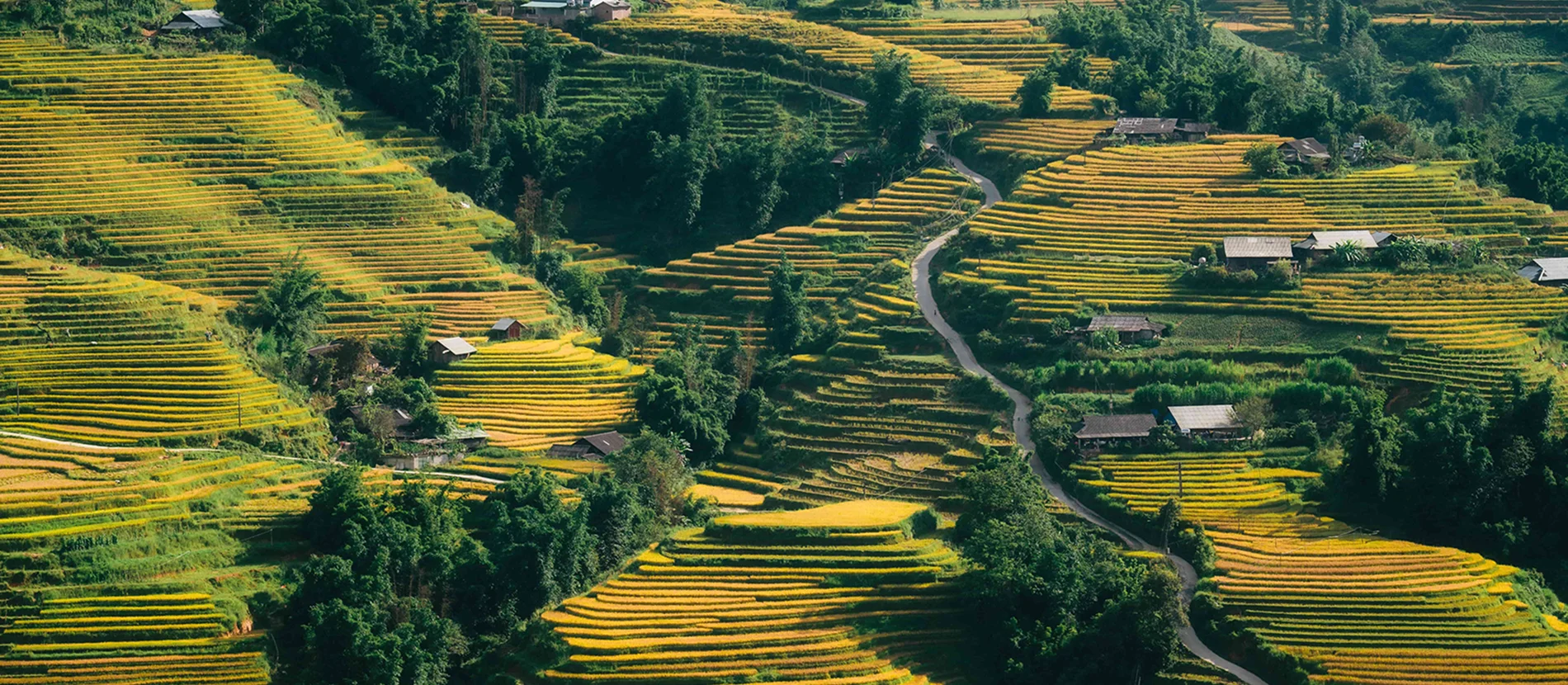 Agence de voyage francophone au Vietnam, Voyage au Vietnam